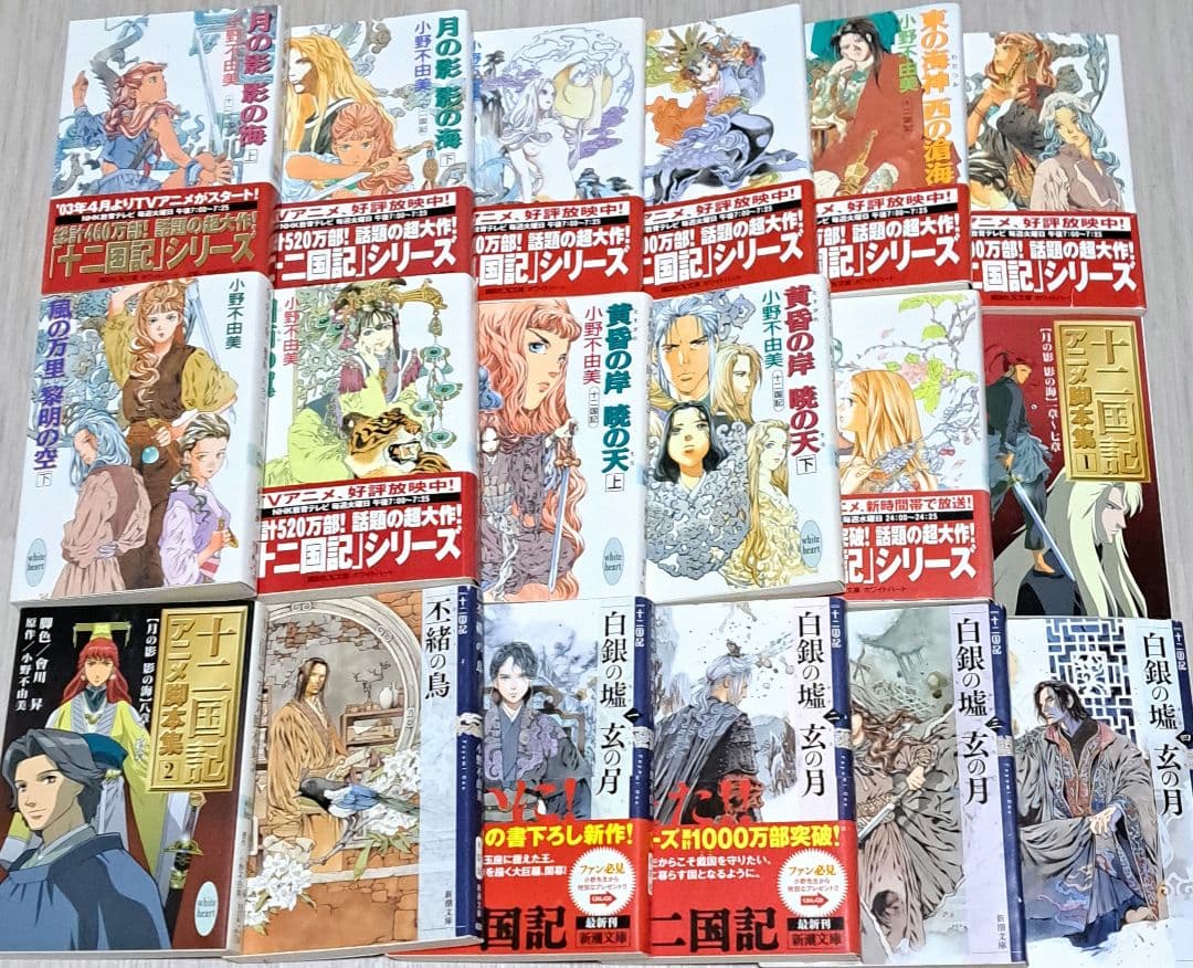 十二国記 1~11巻 ＋ 丕緒の鳥 白銀の墟玄の月 1~4巻 + アニメ脚本集