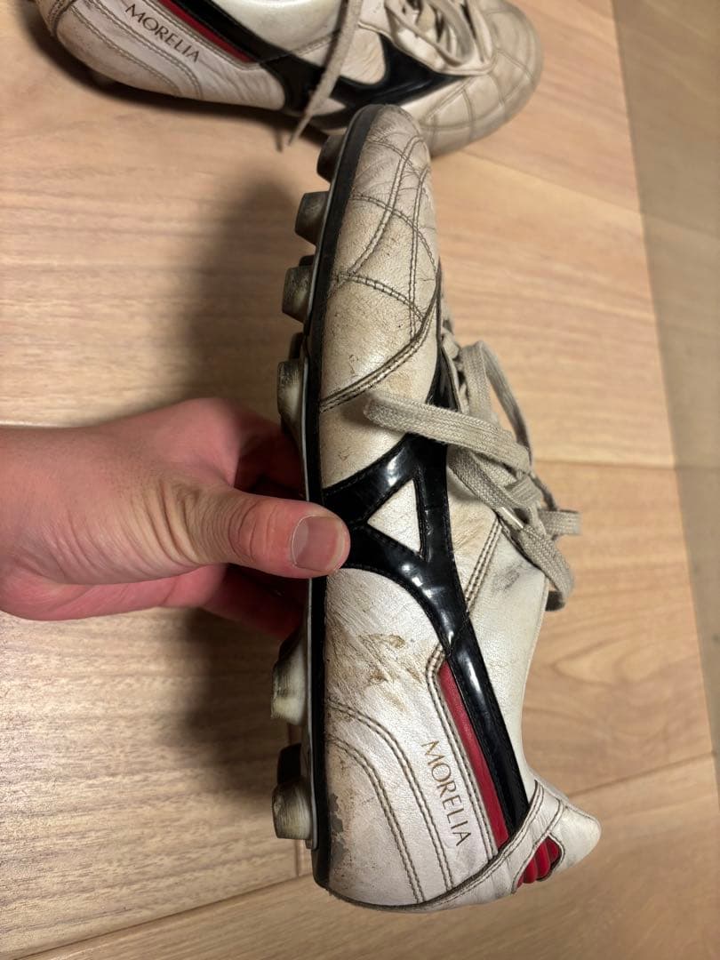 モレリア2JAPAN クロスステッチ26cm