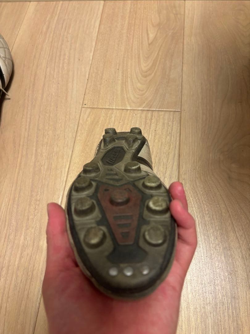 モレリア2JAPAN クロスステッチ26cm