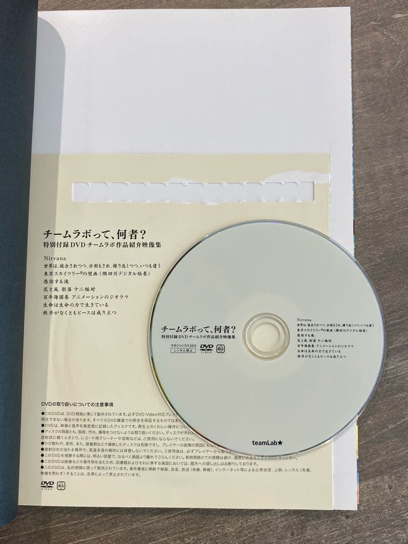 チームラボって、何者？（マガジンハウス刊）