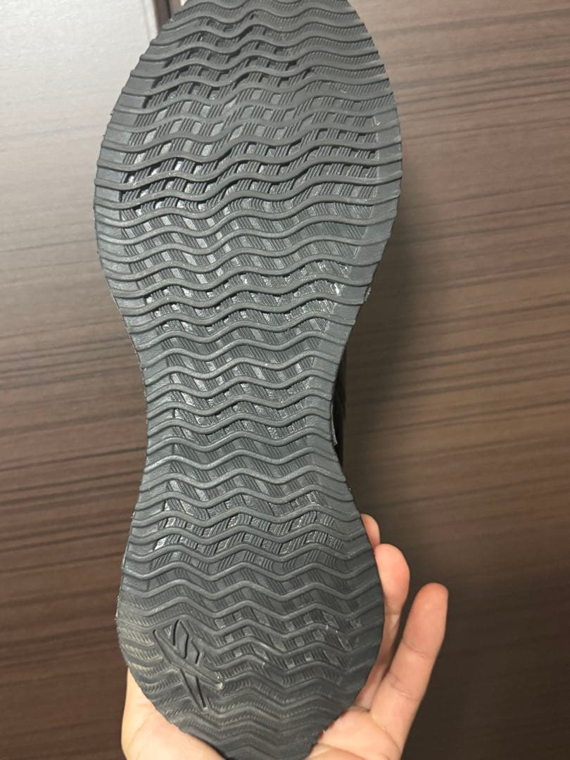 本物の藤原聡 リーボック ジグダイナミカ Reebok Dynamica