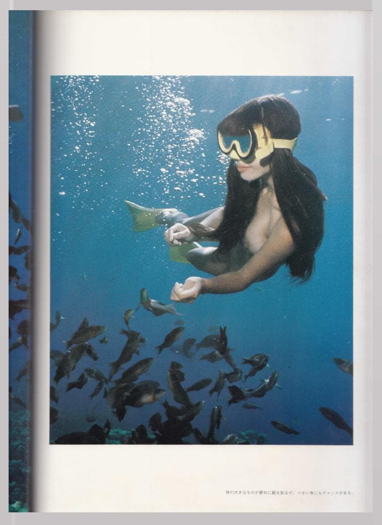 館石昭 撮影 海のオリビア アート写真集
