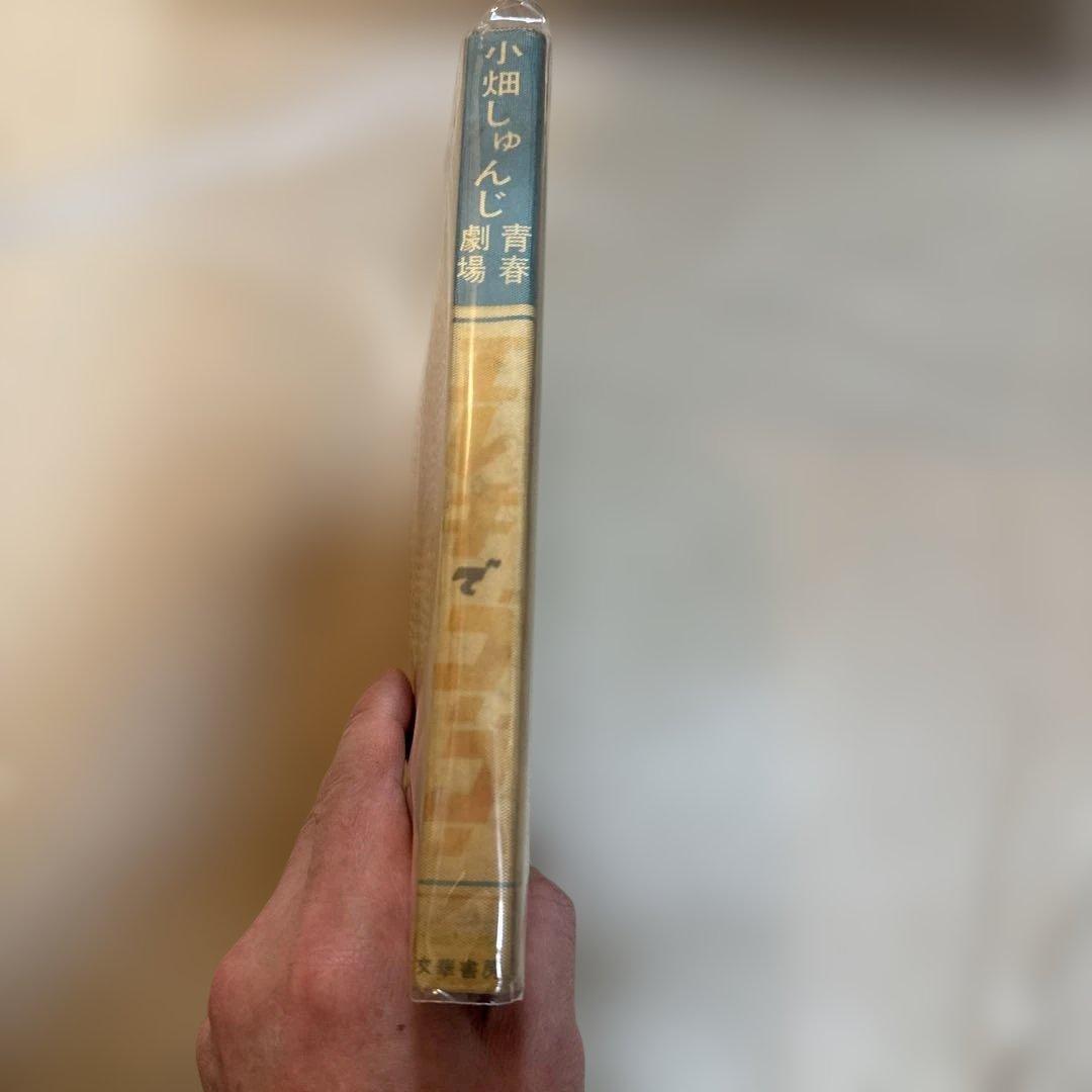 ＊【希少・貸本】小畑しゅんじ「エレキでゴーゴー」青春劇場 文華書房 昭和レトロ