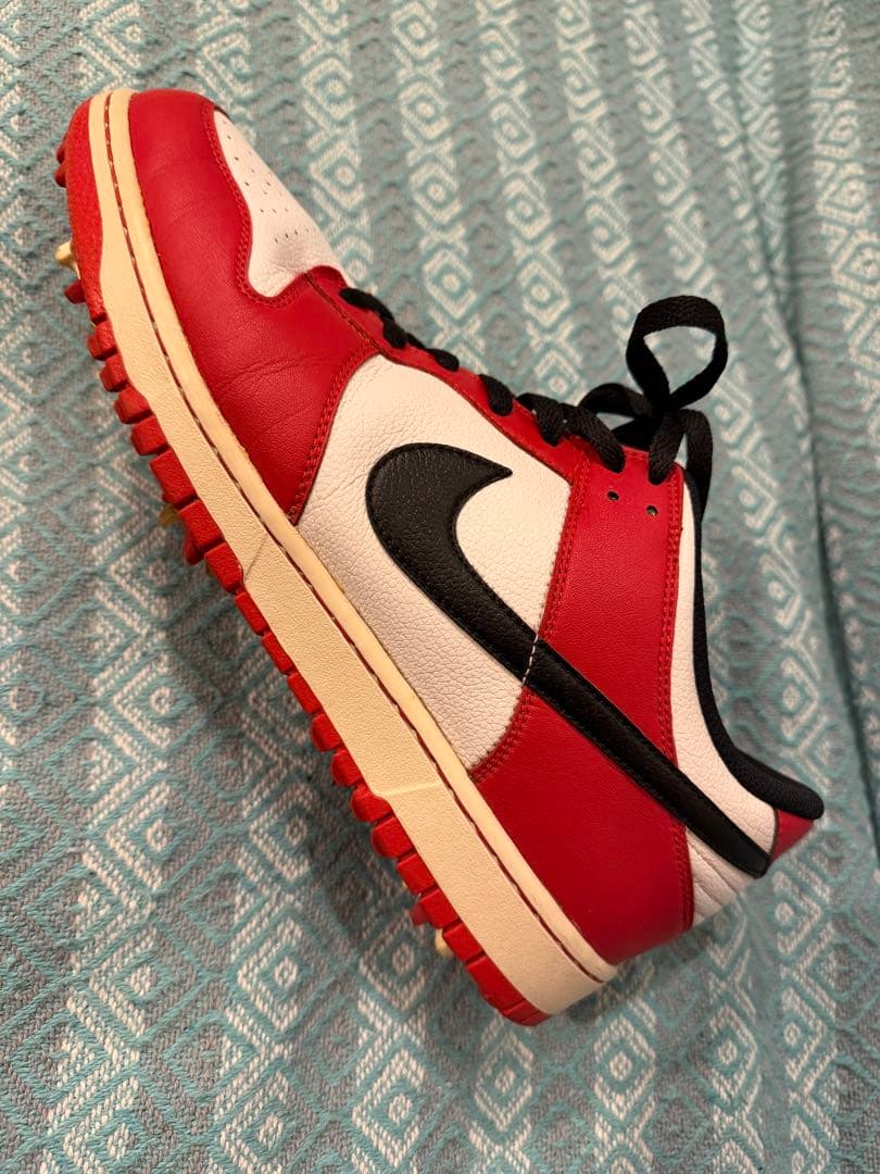 シューズ(男性用) NIKE DUNK Low golf \"chicago\" 29cm