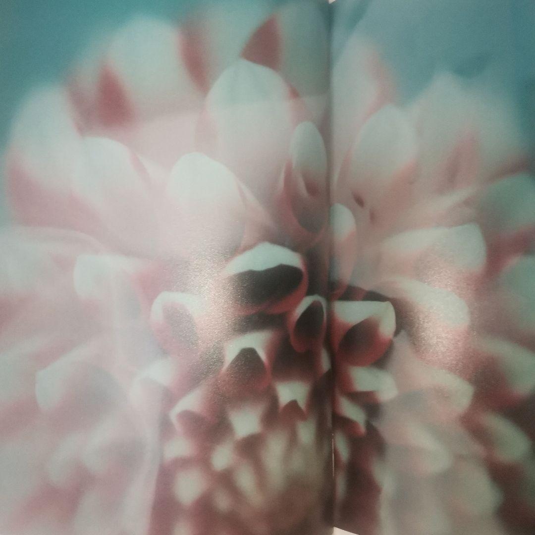 【直筆サイン入】北岡稔章 写真集『Equally, beautiful』
