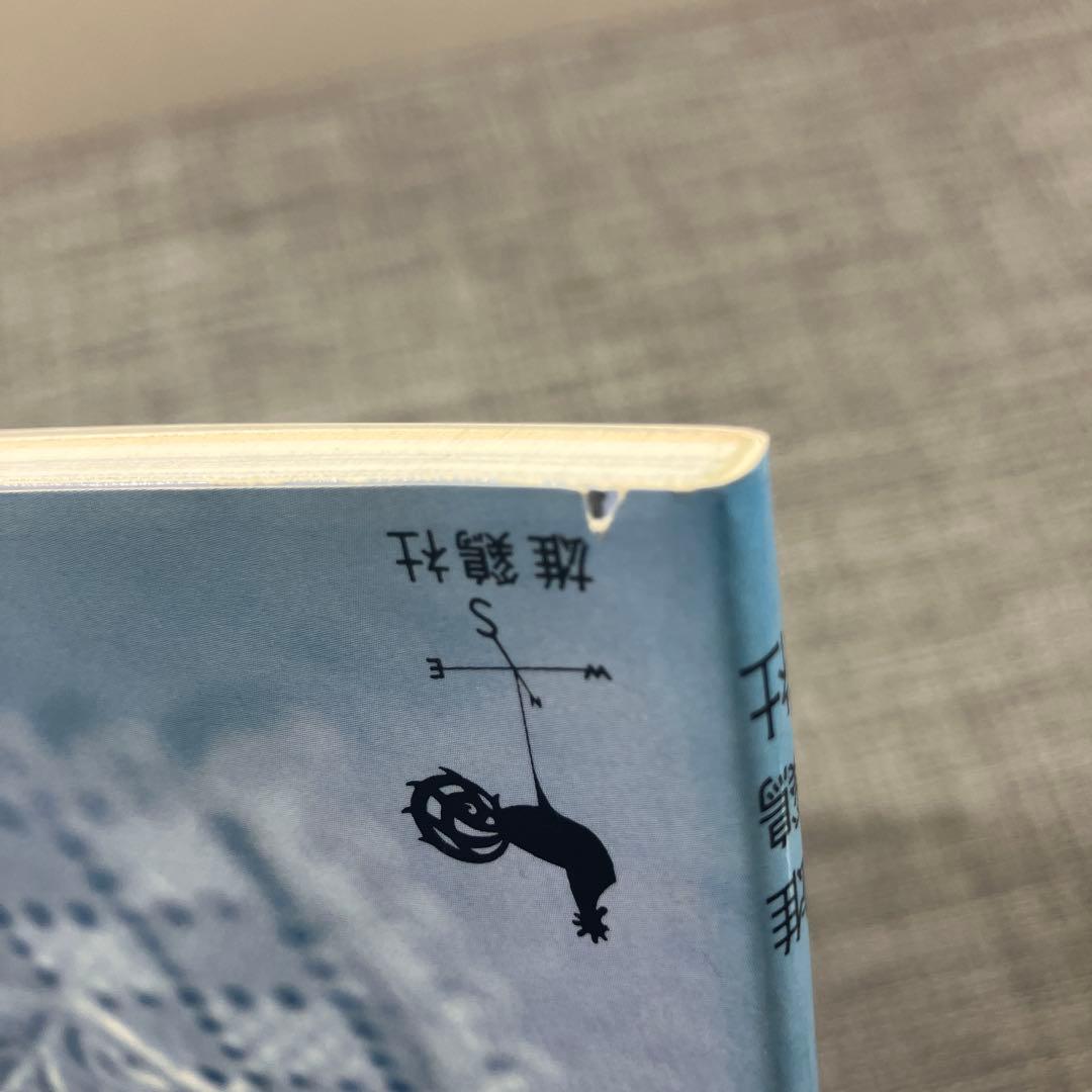 シュヴァルムの白糸刺繍