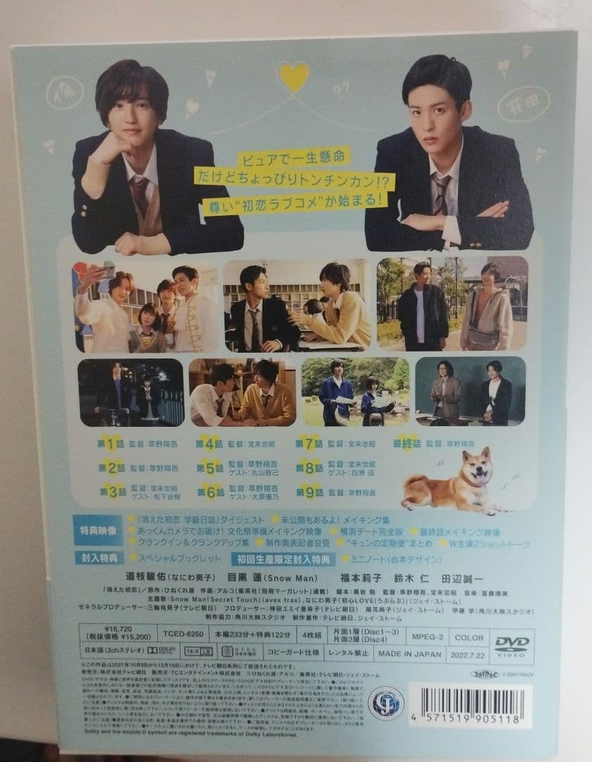 消えた初恋　DVD【初回生産限定封入特典付】