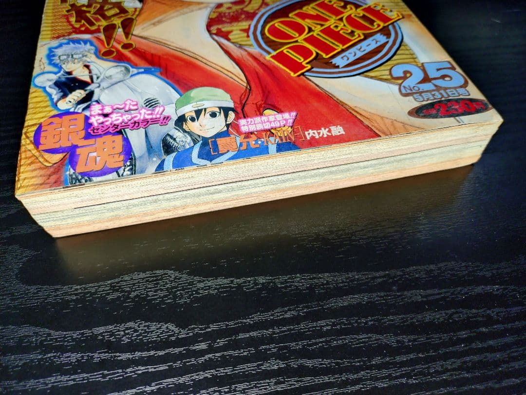 【週刊少年ジャンプ2004年25号】ワンピース　ルフィVS青キジ