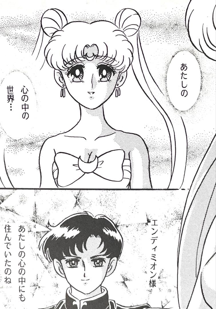 セーラームーン同人誌　クンツァイト×ゾイサイト　クンゾイ　戦士　エンディミオン