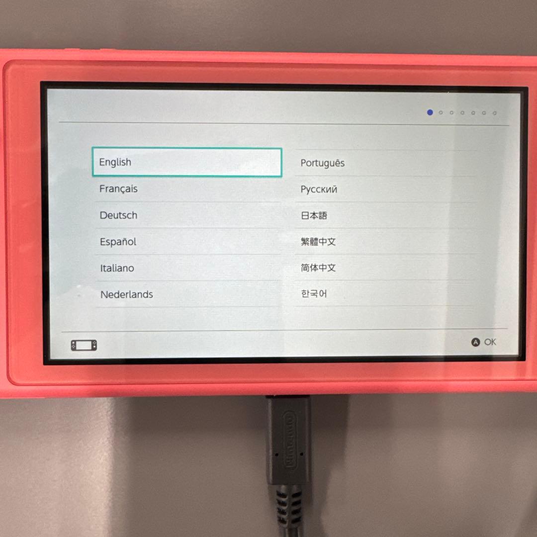 Nintendo Switch Lite ピンク 本体と充電器セット