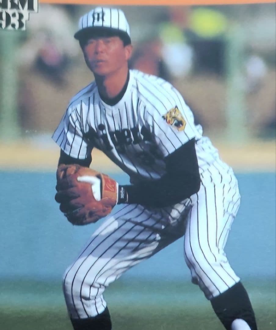 Rawlings XRH26 阪神タイガース 平田勝男