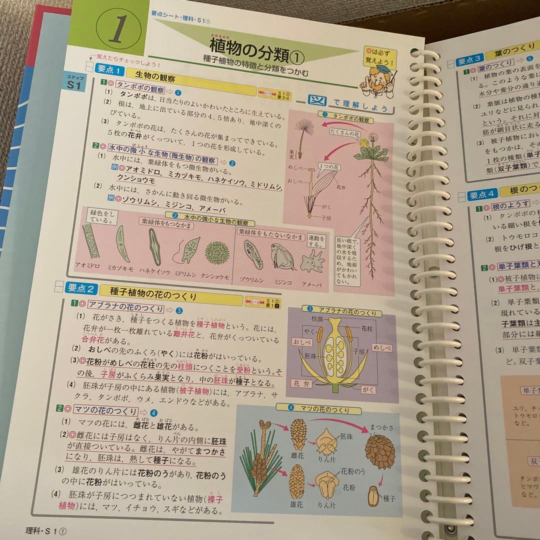 中学生学習参考書セット 解答と解説付き 国語数学英語理科社会