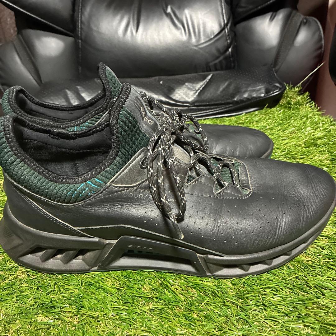 ECCO BIOM C4 サイズ42