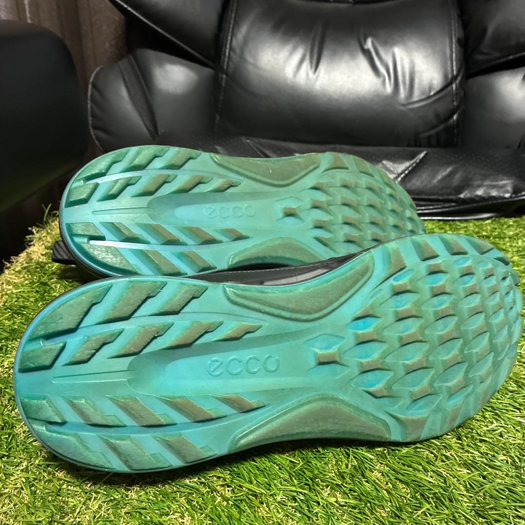 ECCO BIOM C4 サイズ42