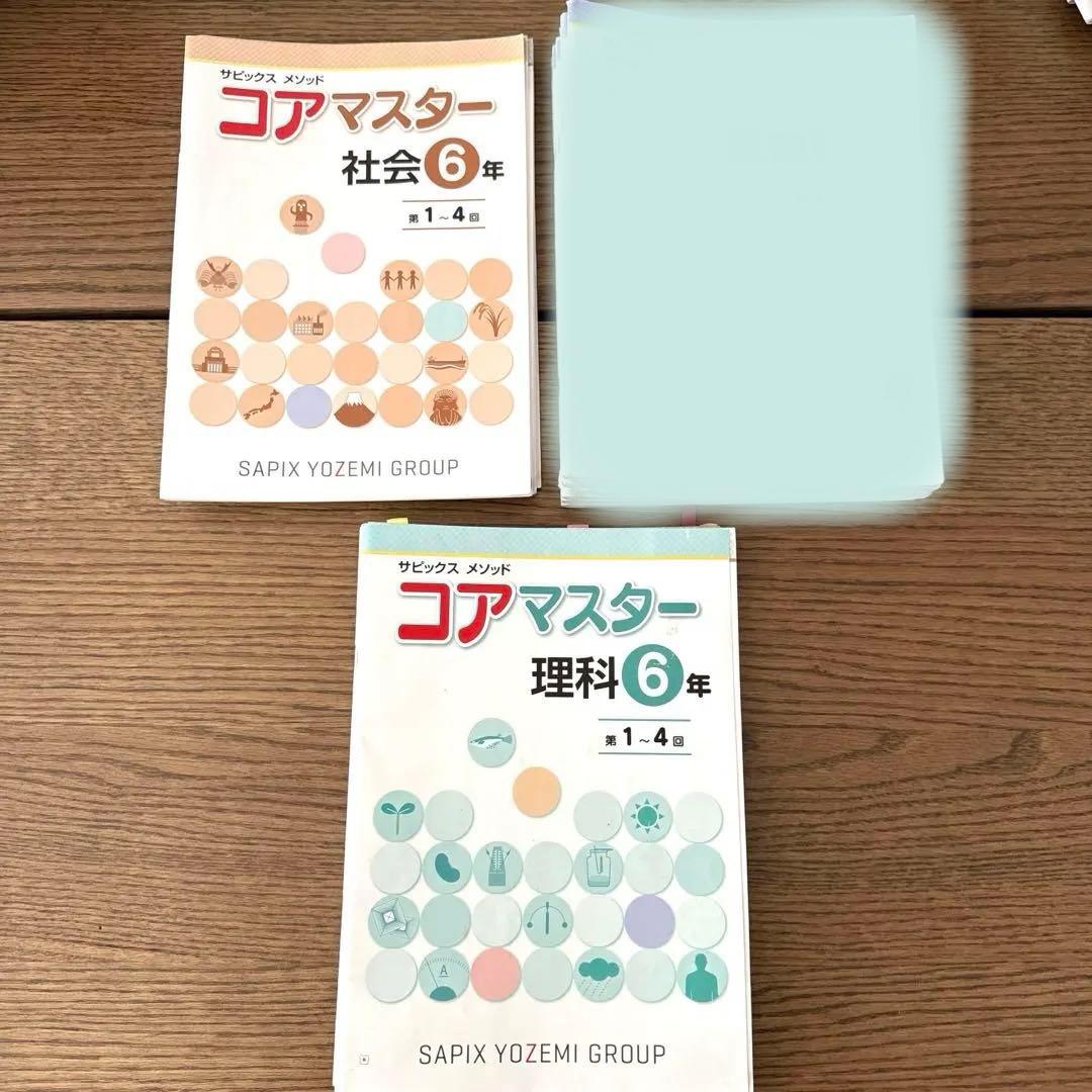 名進研　完全制覇　受験国語　受験算数　受験理科　受験社会　6年　中学受験　22冊