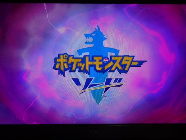 ポケットモンスター ソード + エキスパンションパス 動作可能