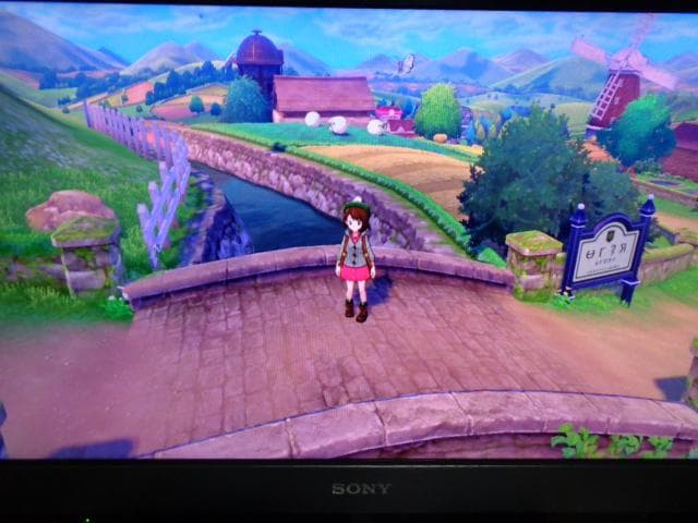 ポケットモンスター ソード + エキスパンションパス 動作可能