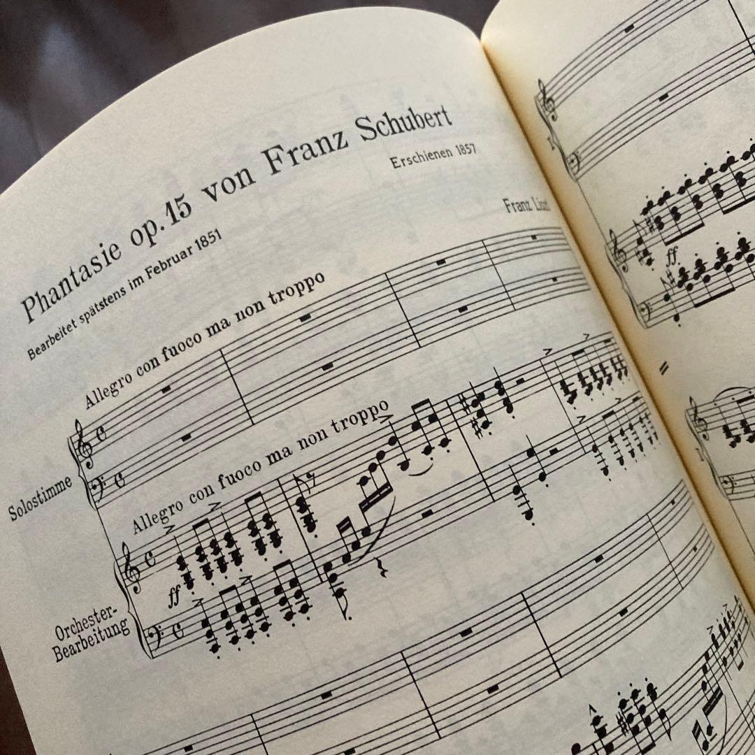 LISZT/ ピアノ作品集XI  ピアノと管弦楽のための作品PETER'S