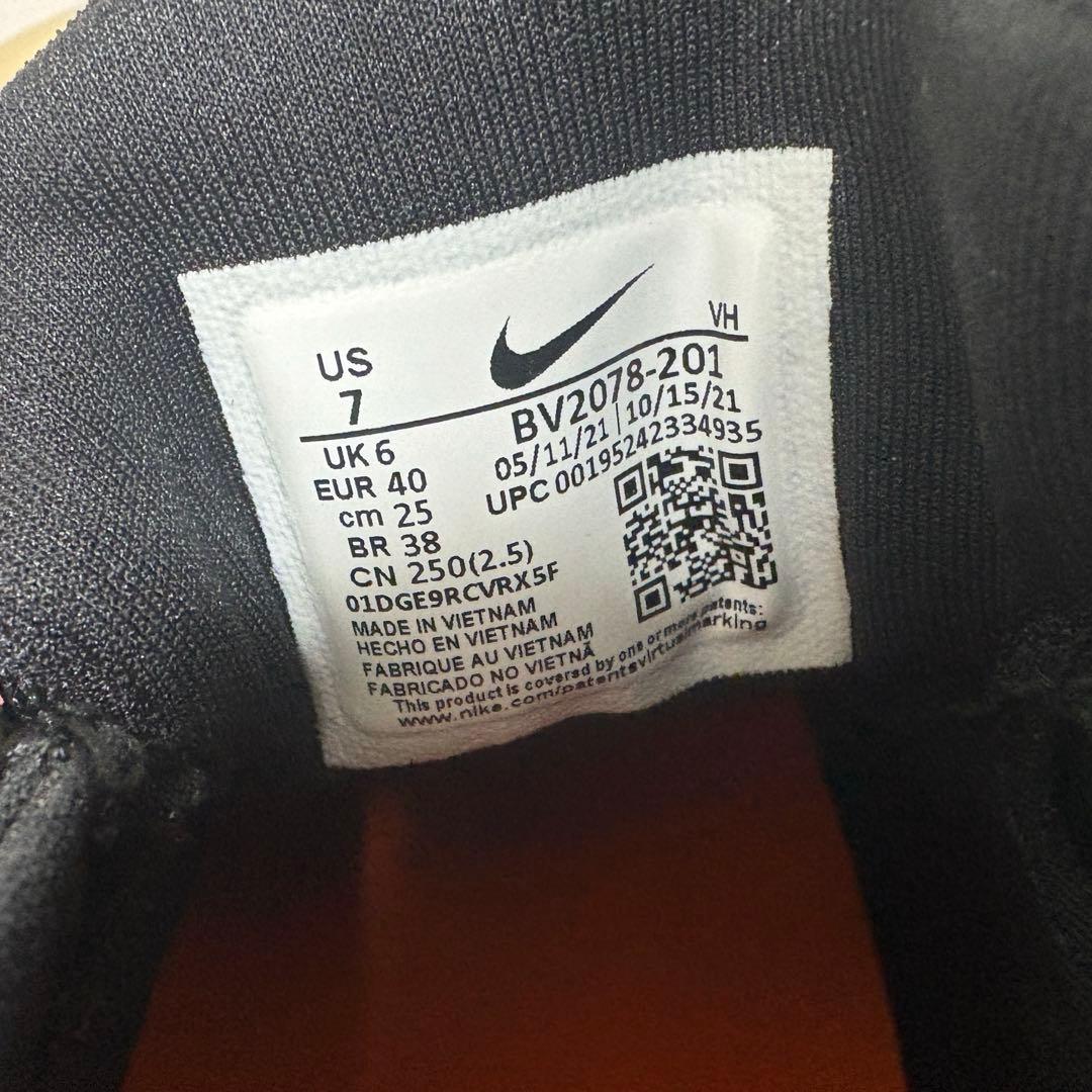 NIKE SB ナイジャフリー2 (25cm)