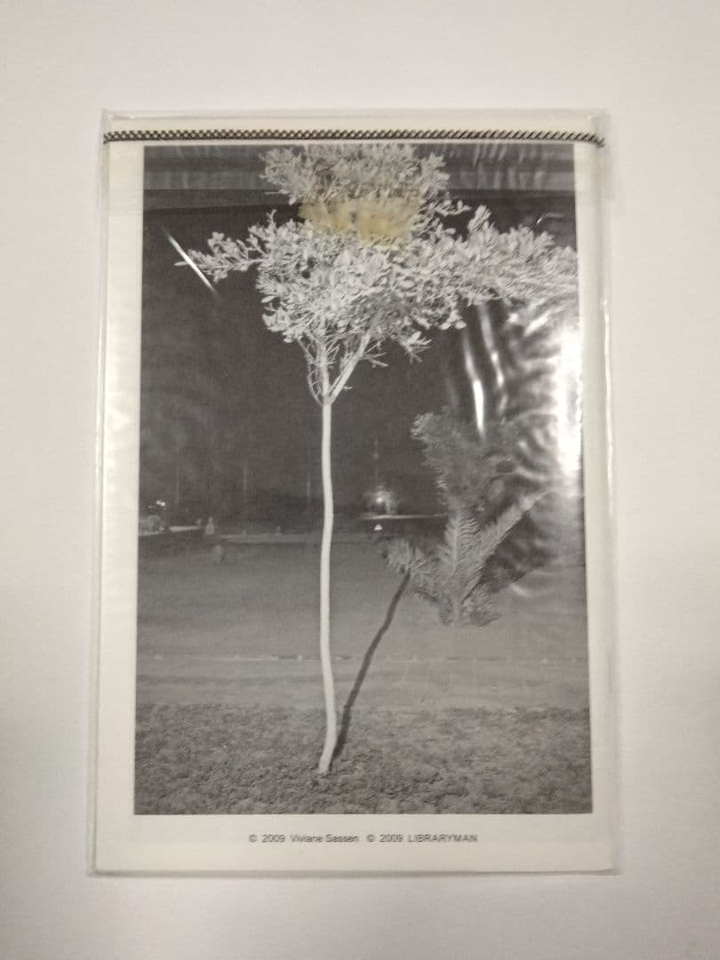 サイン入り 300部限定 vivian sassen zine