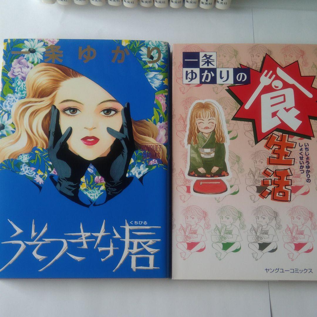 一条ゆかり漫画＆エッセイ　全18冊