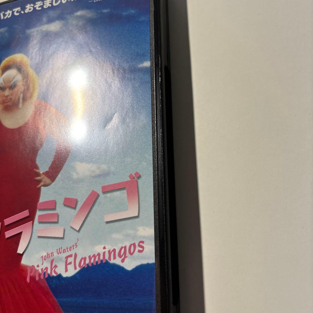 ピンク・フラミンゴ [セルDVD]