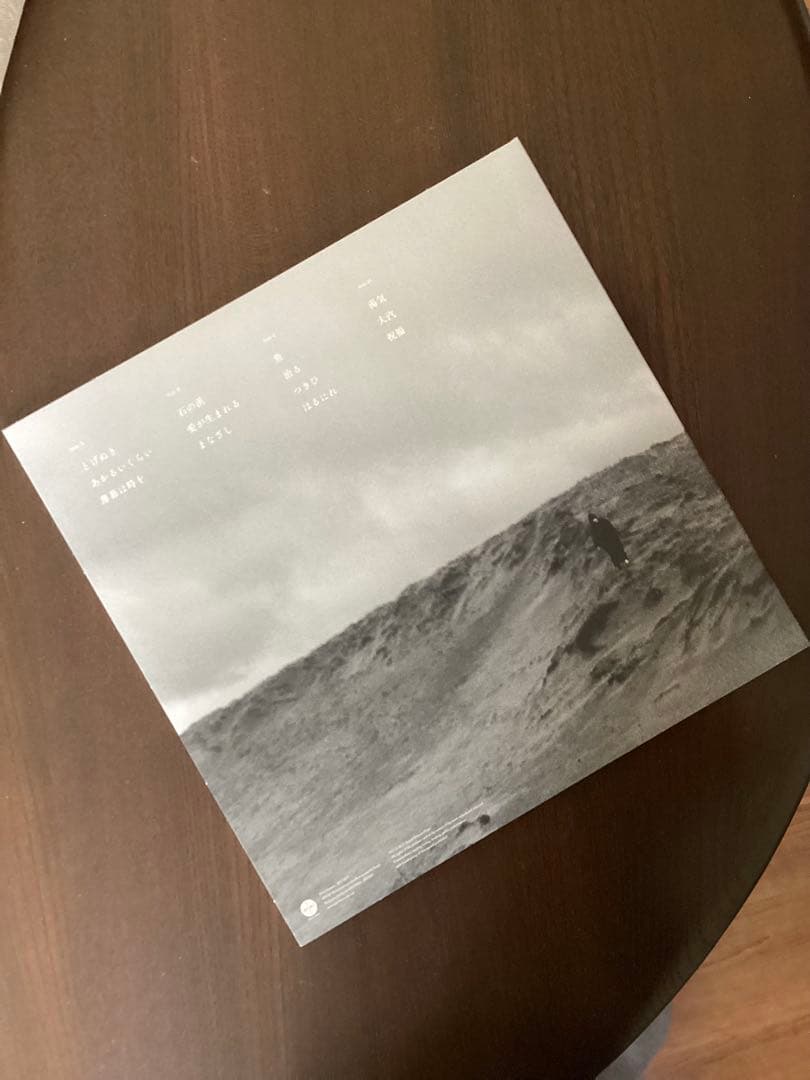 浮「あかるいくらい」2枚組レコード