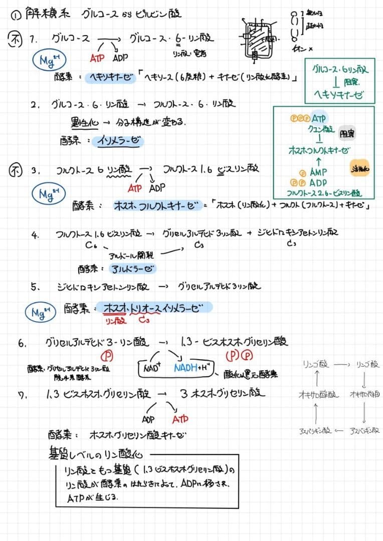 ※Rxxxma 2024改訂版 エッセンシャル細胞生物学 自作問題集
