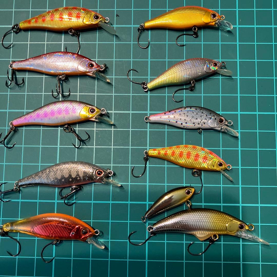301 パームス　アレキサンドラ10個セット