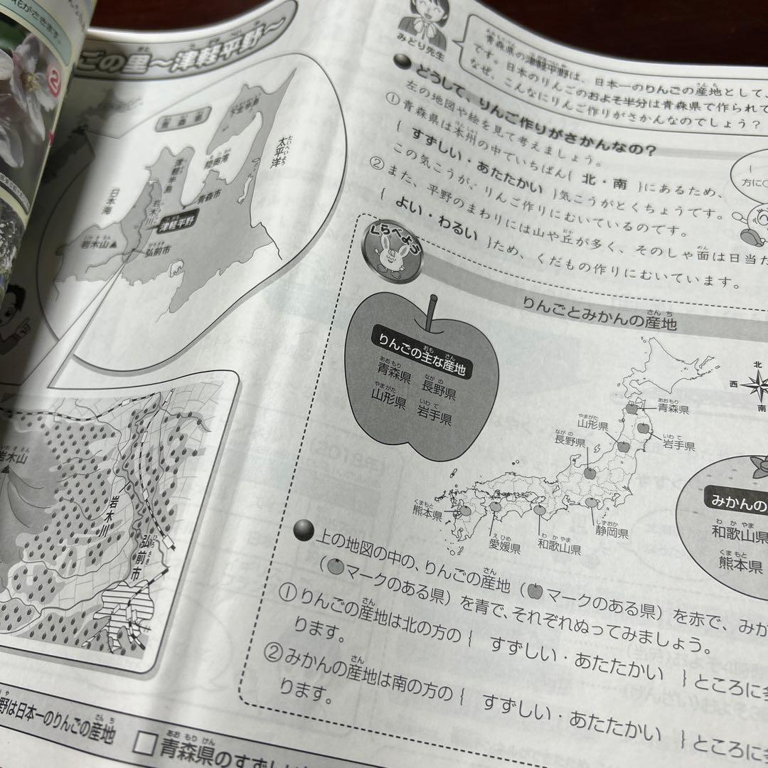 ⑳な　SAPIX サピックス　3年　社会　一年分　ディリーサピックス