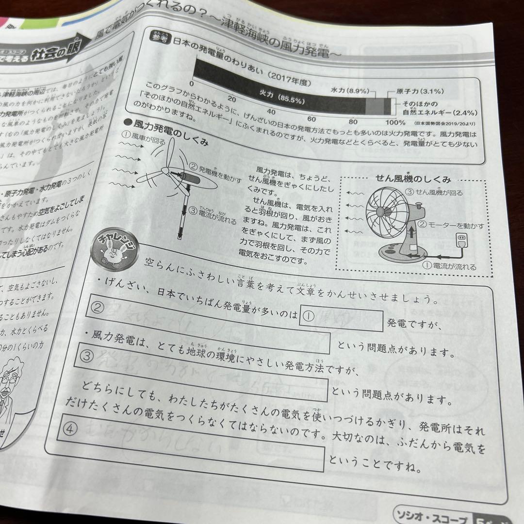 ⑳な　SAPIX サピックス　3年　社会　一年分　ディリーサピックス
