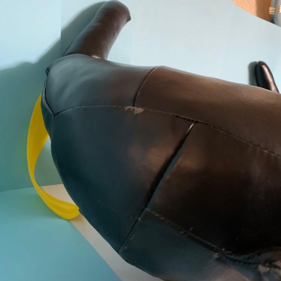 ブルガリアンサンドバッグ BODYMAKER 15kg