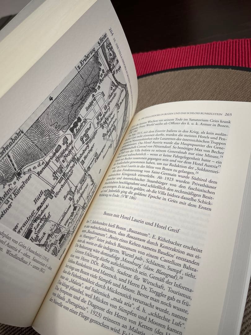 洋書 Robert Musil und der Genius Loci
