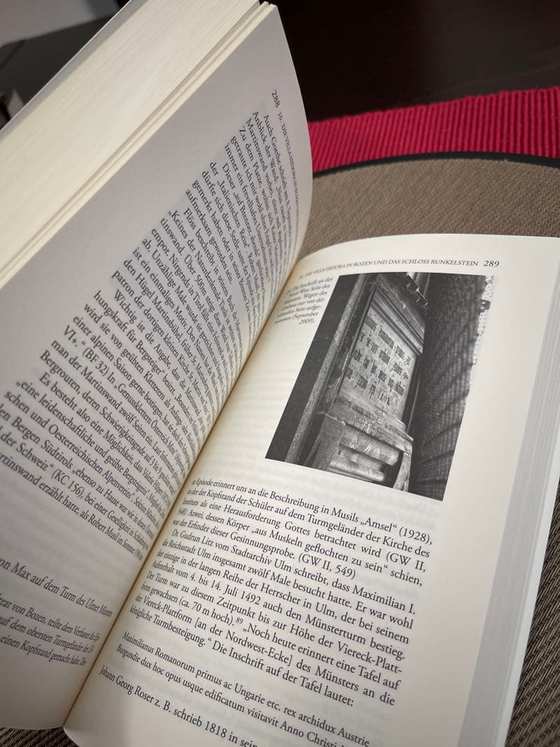 洋書 Robert Musil und der Genius Loci