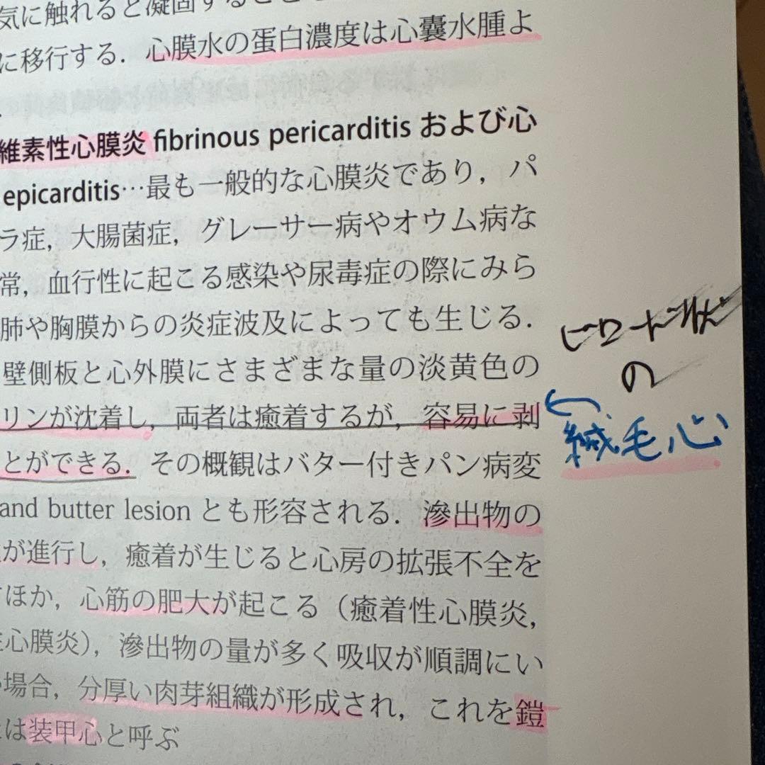 みかん