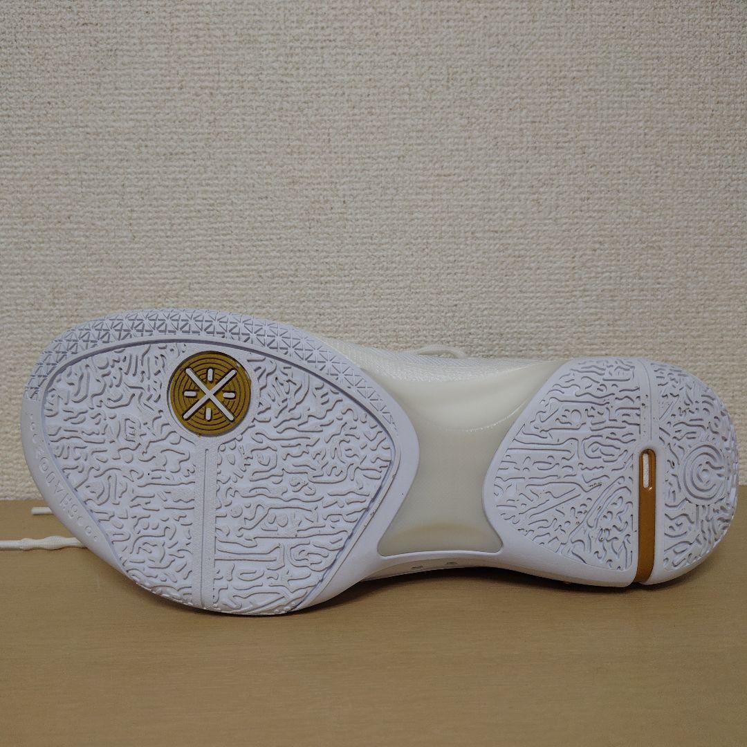 バスケットボールシューズ　リーニン　ウェイドシャドウ6 V2 「勝利の道」