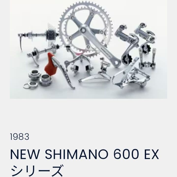 専用【80s☆ビンテージ☆極上】PANASONIC PT-1000 ロードバイク