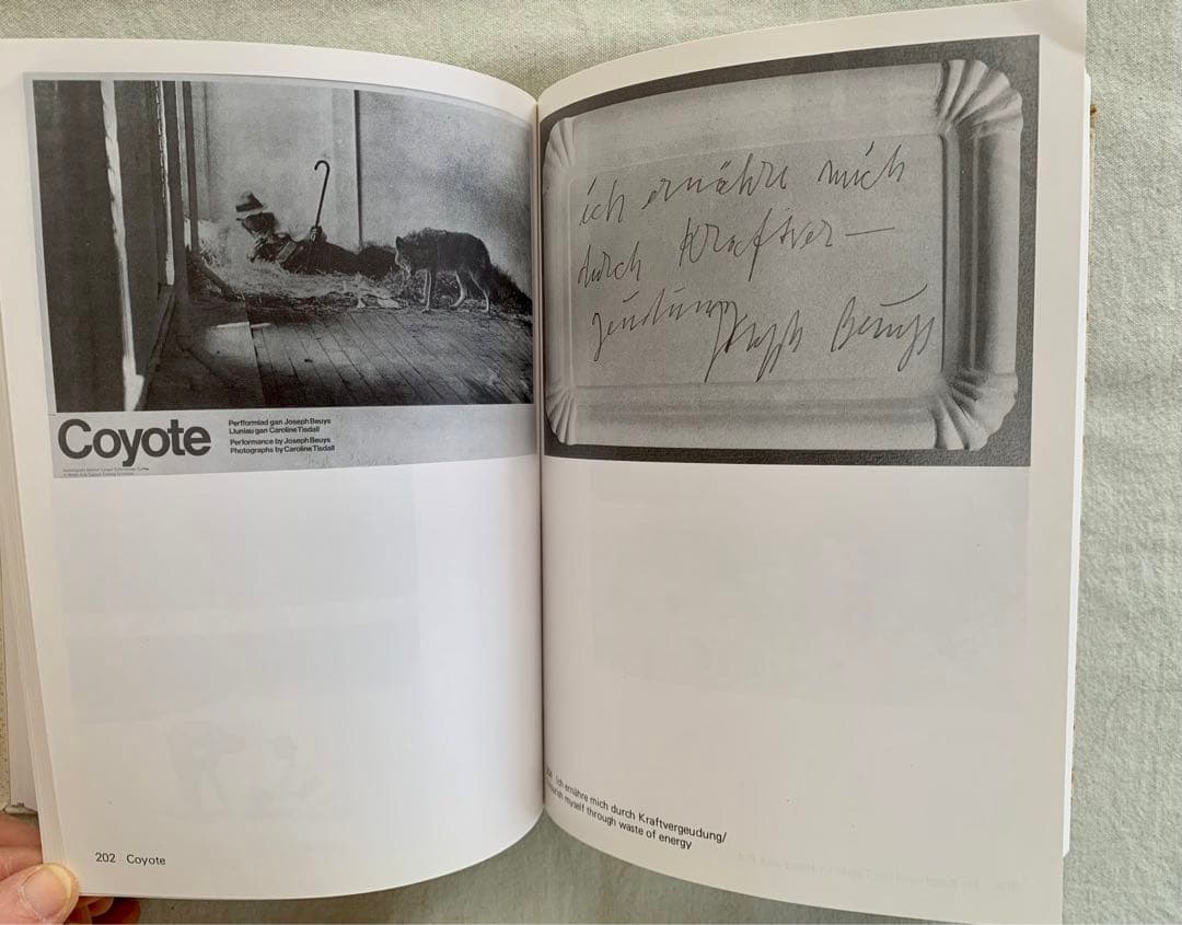 JOSEPH BEUYS・MULTIPLES ヨーゼフ・ボイス カタログ・レゾネ