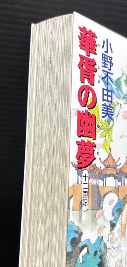 十二国記 記念ガイドブック 屍鬼 白銀の墟 東京異聞 黒祠の島 全23冊