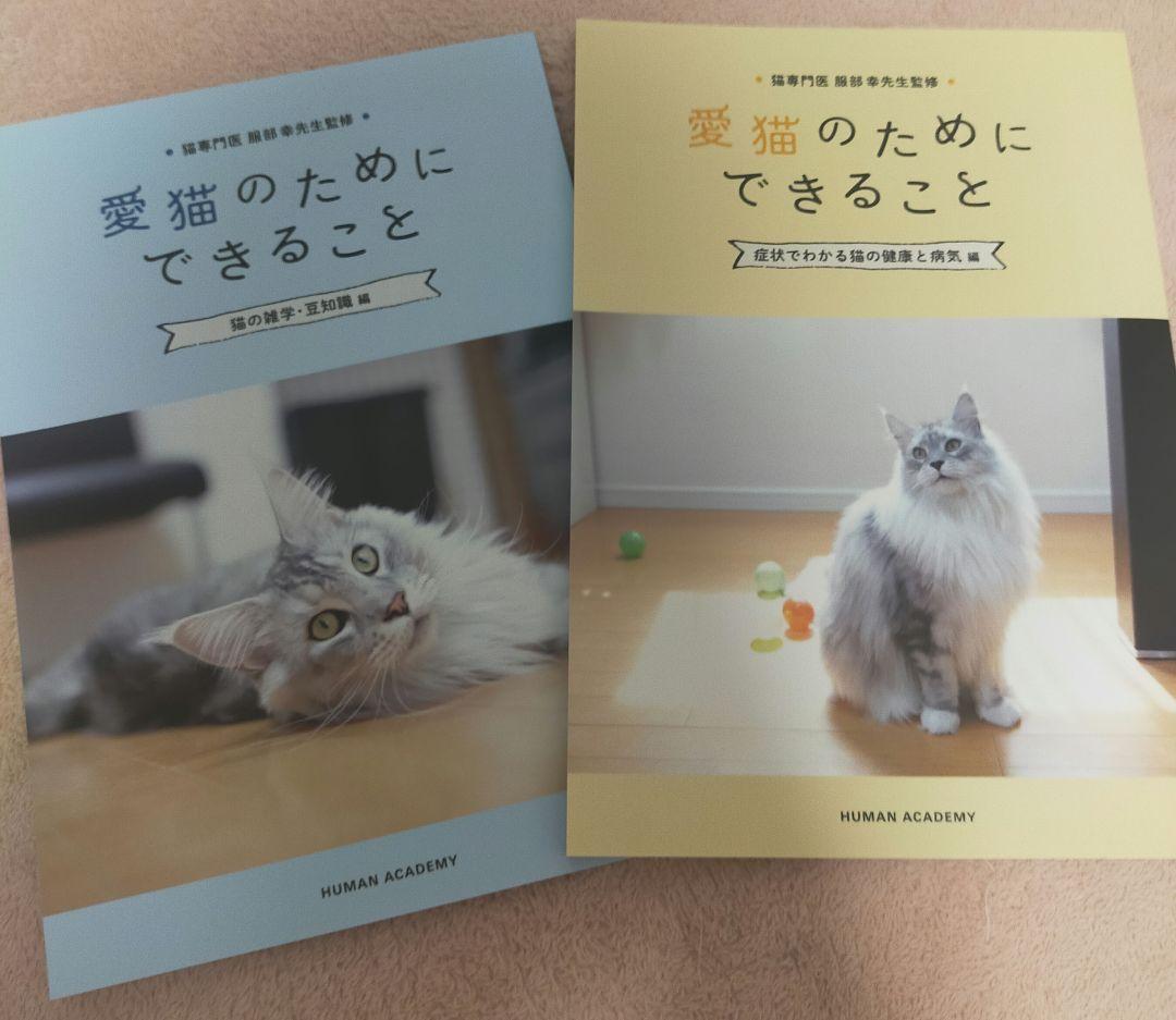 ヒューマンアカデミー　キャットケアスペシャリスト