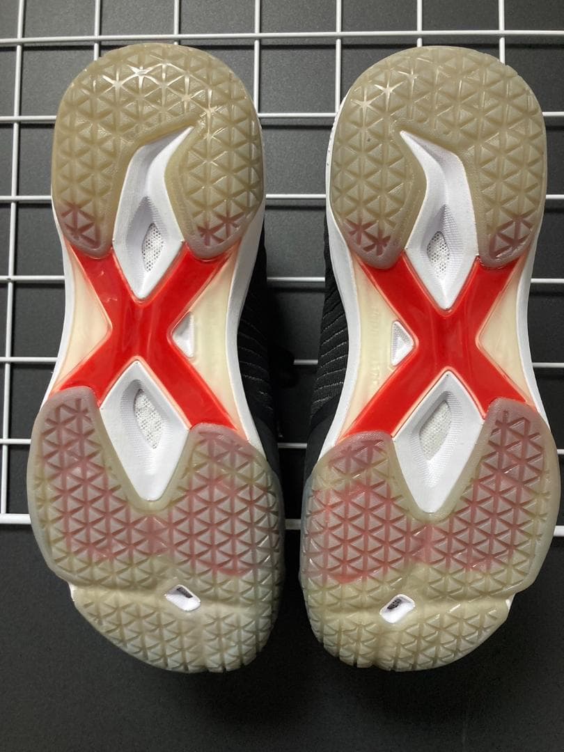 シューズ LI-NING AYAN015-1 25.0cm