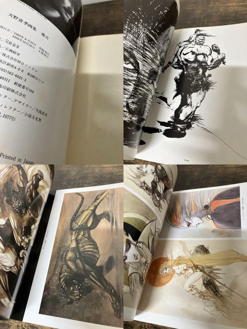天野喜孝 画集 セット 幻夢宮 FINAL FANTASY 魔天 飛天