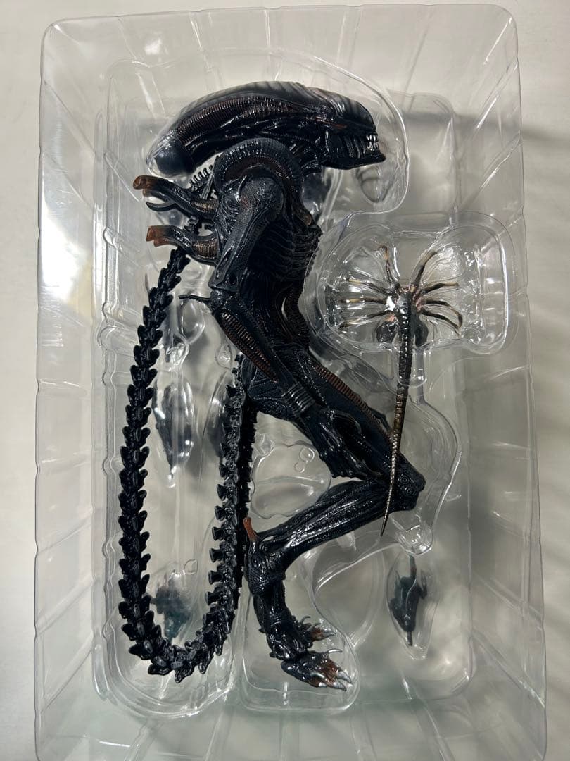 NECA ネカ スコーチドゼノモーフ エイリアン ロムルス フィギュア