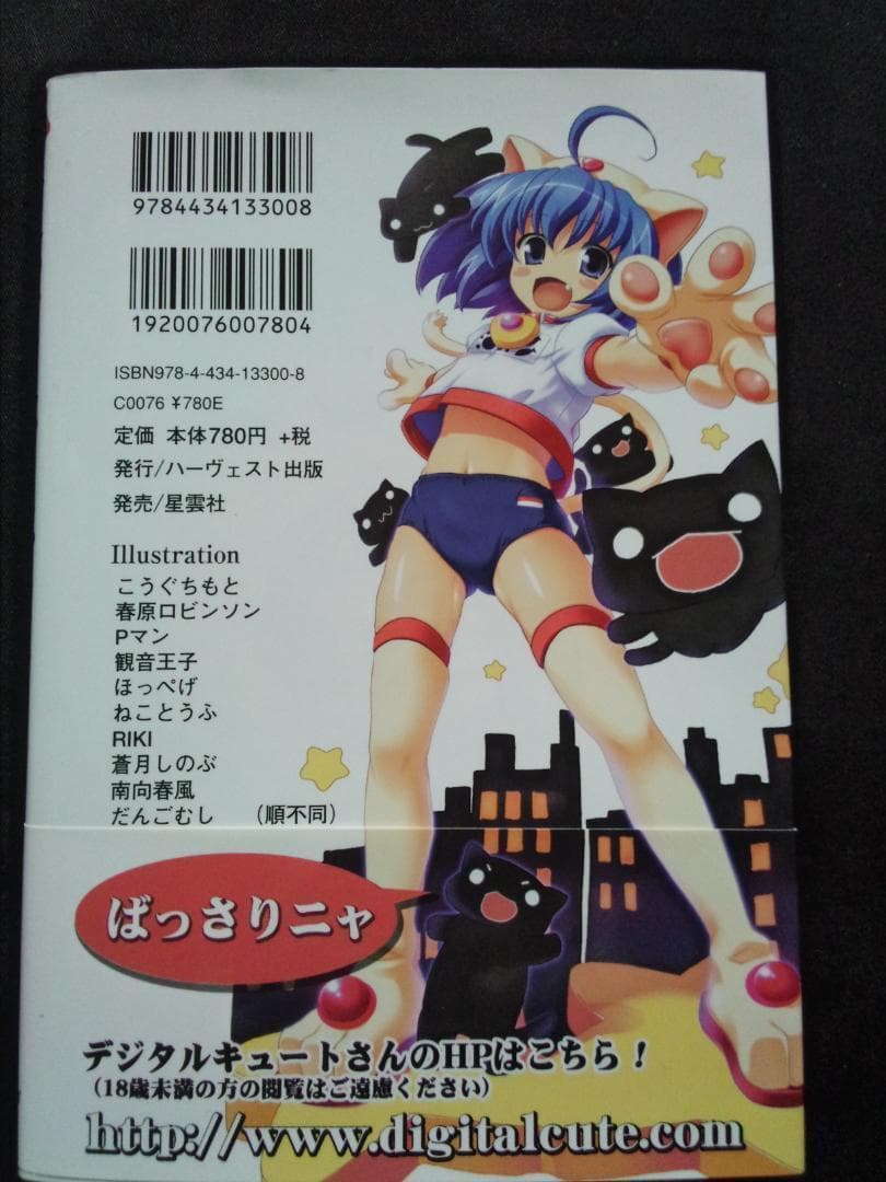 帯付き それゆけ! ぶるにゃんマン 美少女 横スクロール STG レア 希少本