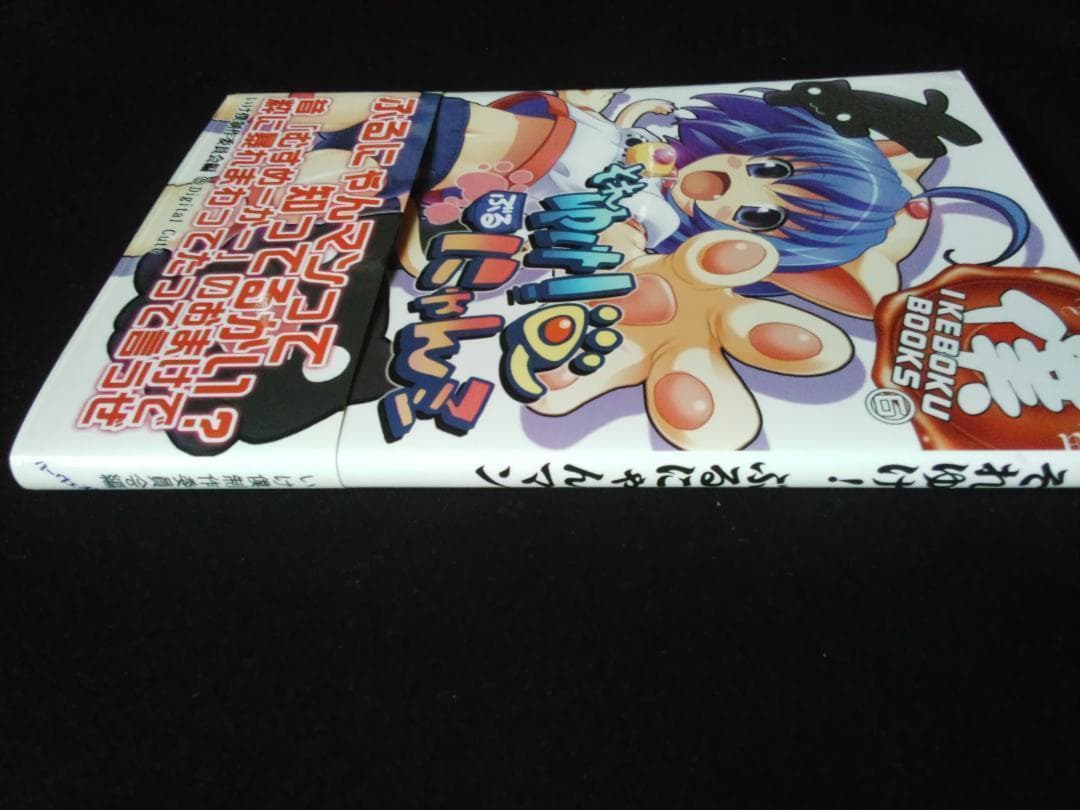 帯付き それゆけ! ぶるにゃんマン 美少女 横スクロール STG レア 希少本