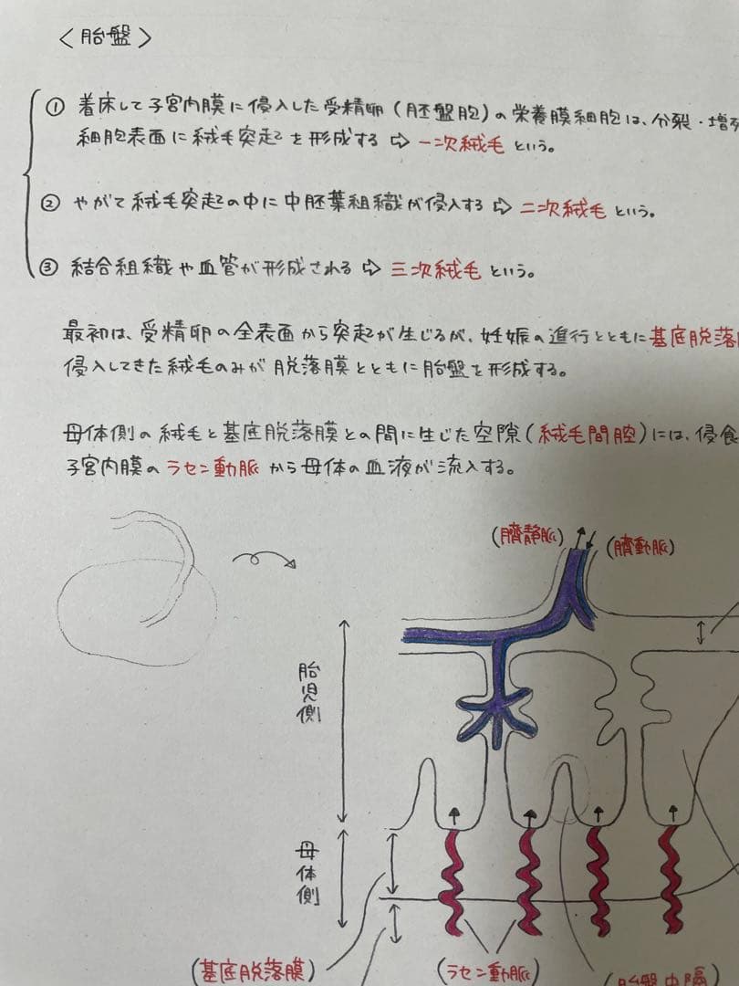 ＡＩページ　助産師学校受験対策