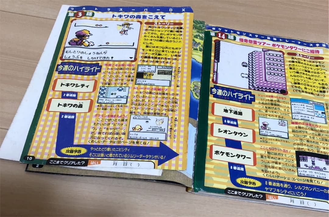 ポケモン　攻略本　最強トレーナーズ手帳 ポケモンデータレベル100