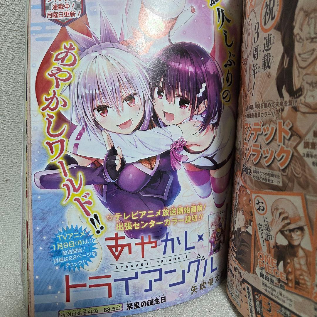 週刊少年ジャンプ 2023年（6・7号）ルフィ付録 カード 付 P-033