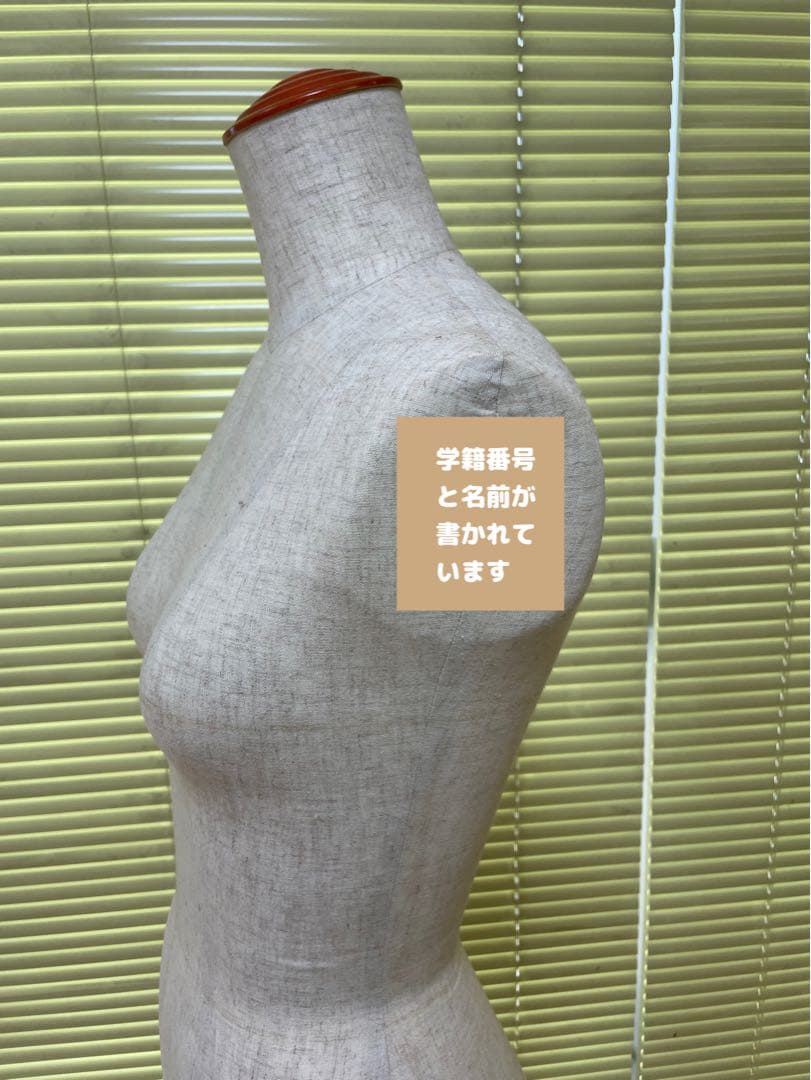 【美品】文化学園大学 文化式ヌードボディー 9AR文化型ボディ 30日まで