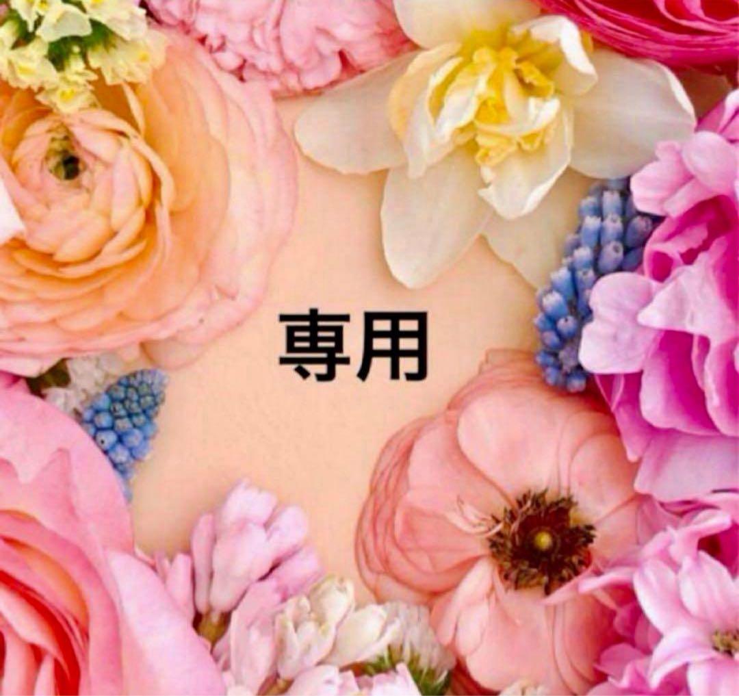 10回婚約破棄された私が冷徹公爵様に溺愛されるなんて罠ですか おまとめ専用②